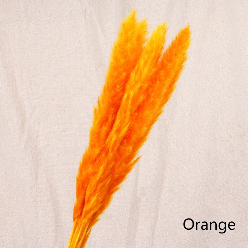 Natural Reed Dried Flower Bouquet - Meekshire