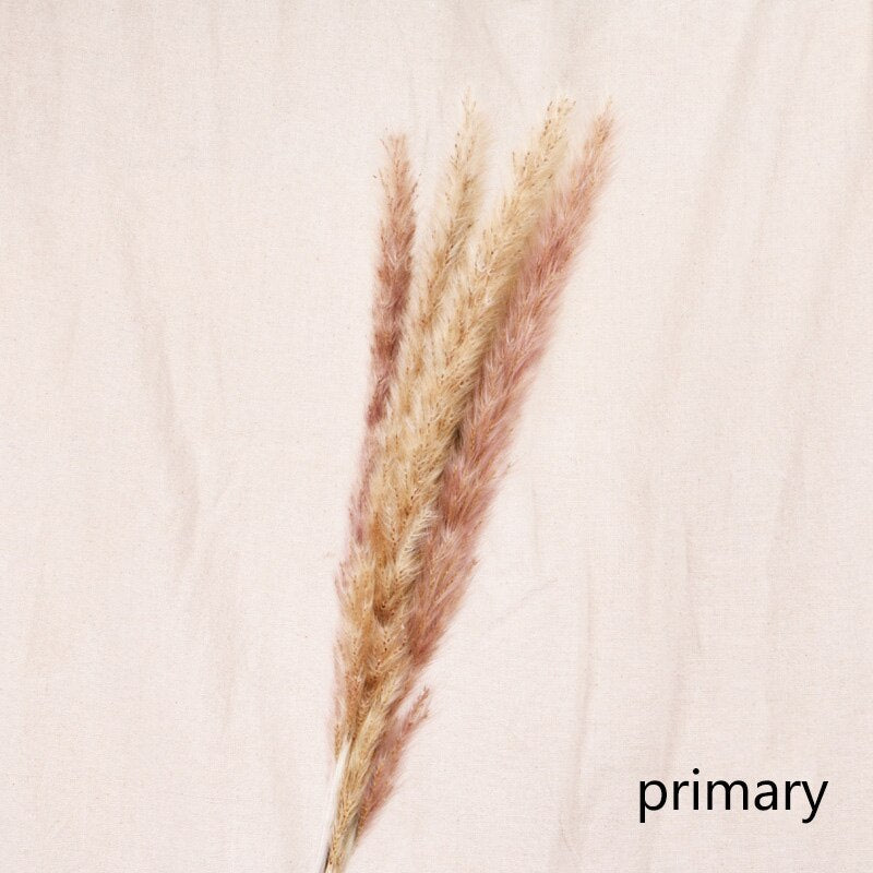 Natural Reed Dried Flower Bouquet - Meekshire