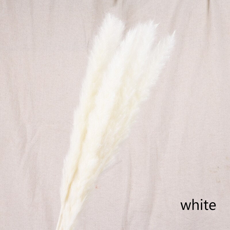 Natural Reed Dried Flower Bouquet - Meekshire