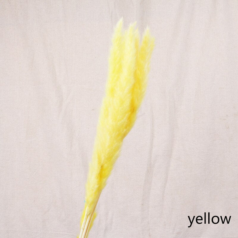 Natural Reed Dried Flower Bouquet - Meekshire
